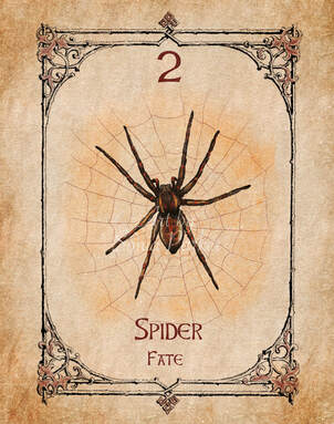 Picture of spider spirit animal card from animal spirit oracle deck art by Sonia Parker