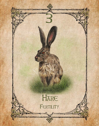 Artwork of Hare by Sonia Parker, from Animal Spirit Oracle, Hare Spirit Animal