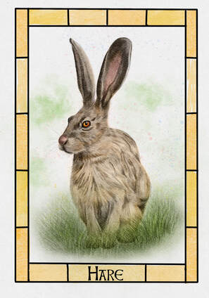 Artwork of Hare by Sonia Parker