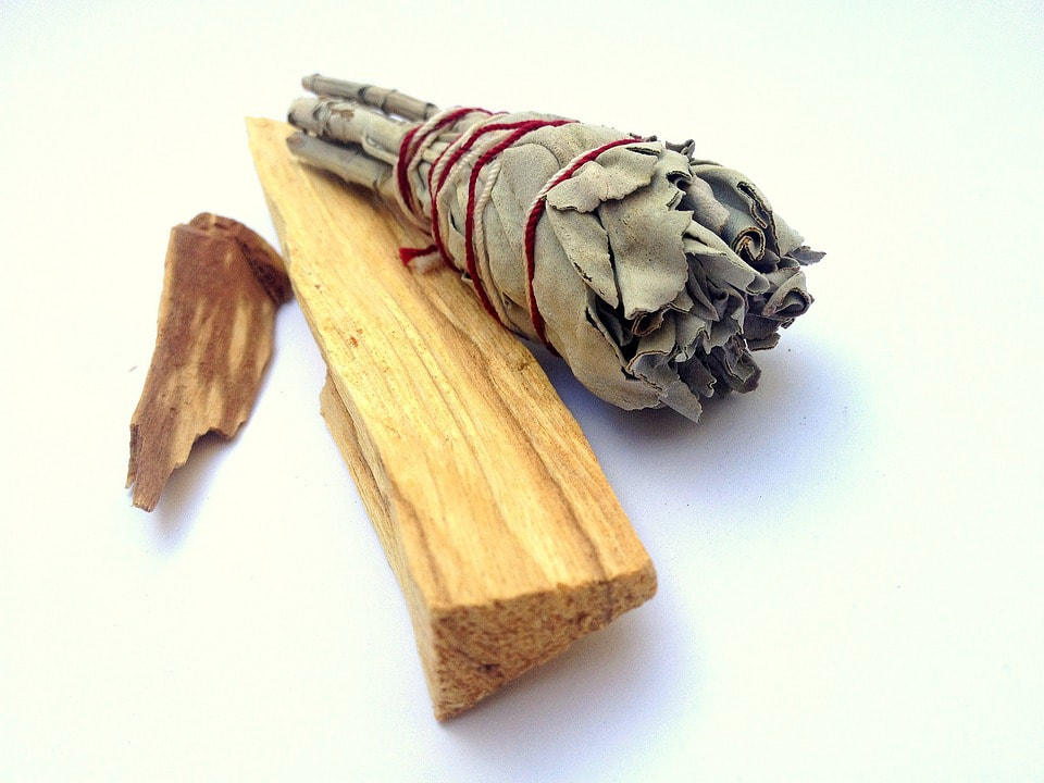 Picture of palo santo and sage