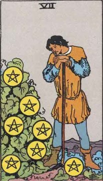 Picture of 7 of pentacles card