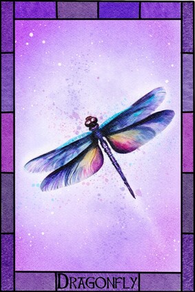 Art of Dragonfly by Sonia Parker