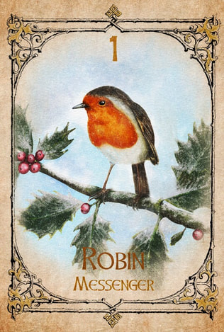 Picture of a robin bird sitting on a holly branch, spirit animal oracle deck by sonia parker