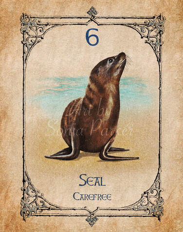 Seal Spirit Animal - The Spiritual Centre