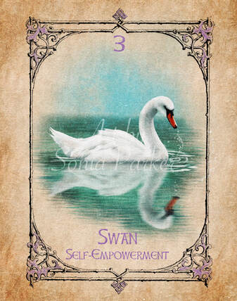 Picture of Swan Spirit Animal Card from the Animal Spirit Oracle Deck