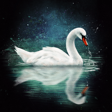 Picture of Swan from the Animal Spirit Twilight Deck, Art by Sonia Parker