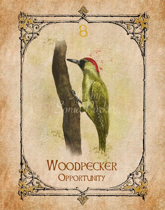 Woodpecker Spirit Animal Artwork by Sonia Parker 