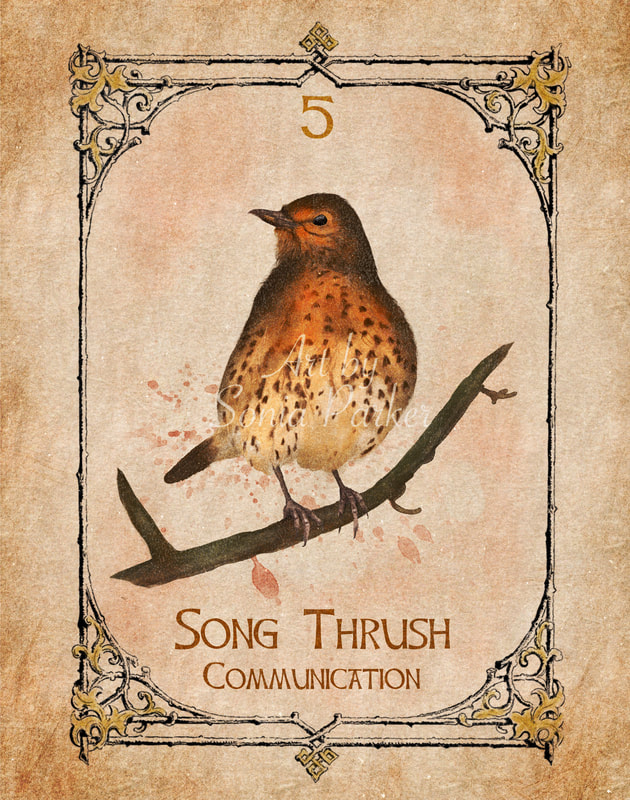 Song Thrush Spirit Animal - The Spiritual Centre