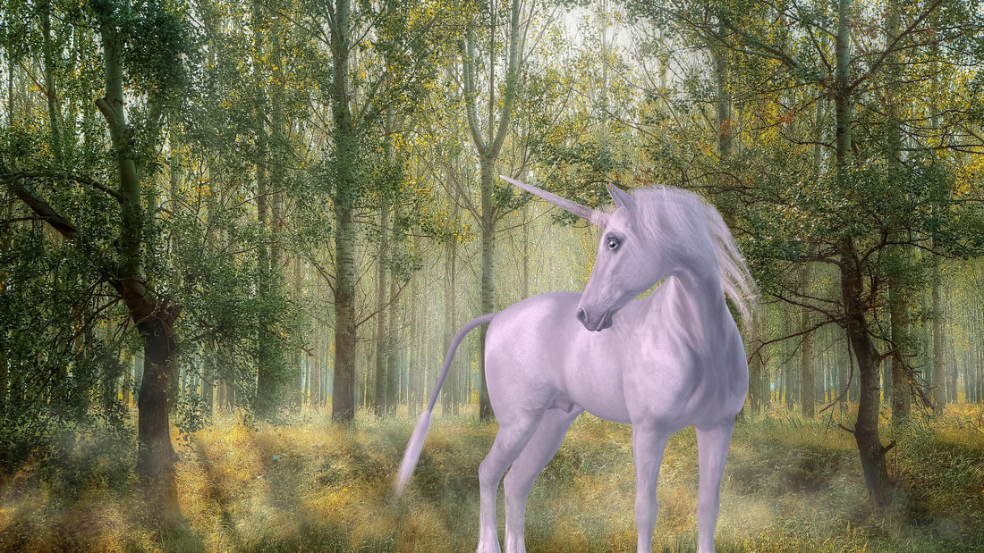 Unicorn spirit animal standing in the forest