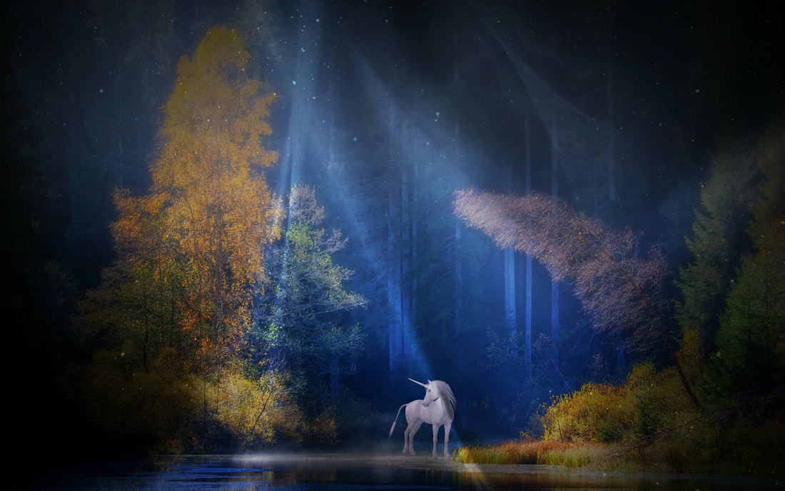Unicorn Spirit Animal - The Spiritual Centre