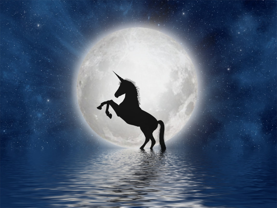 Unicorn spirit animal under full moon